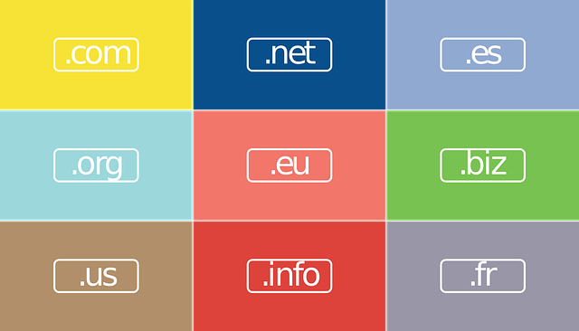 Wirtualne złoto:  Zakup i sprzedaż domen internetowych –  szansa czy ryzyko?